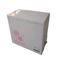 Congélateur horizontal commercial à deux portes, grande capacité de 750 L, ouverture par le haut, congélateurs à coffre, réfrigérateurs de table