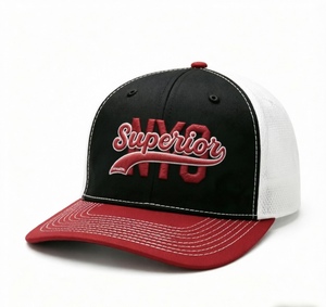 Gorra de Béisbol Personalizada, Gorra de Papá, Gorras de Béisbol de Alta Calidad con Logotipo Bordado, Gorra Deportiva para Hombre - Product Image 2