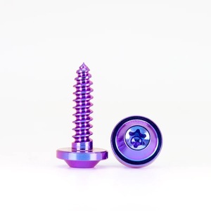 Factory Direct Sales GR5 Titanium <strong>Self</strong>-<strong>tapping</strong> <strong>Screw</strong> - Product Image 4