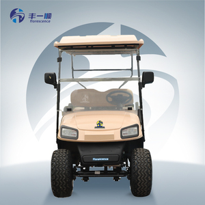 Carrito de Golf Todoterreno de Lujo para 6 Personas, Vehículo Turístico con Batería de Litio de 72V, Certificado CE, 30km/h, Autonomía de 70-90km, DIFERENCIAL - Product Image 2