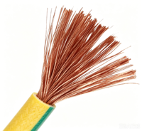 Câble de connexion résidentiel robuste à conducteurs en cuivre isolés en PVC, homologué SAA CE, pour alimentation électrique