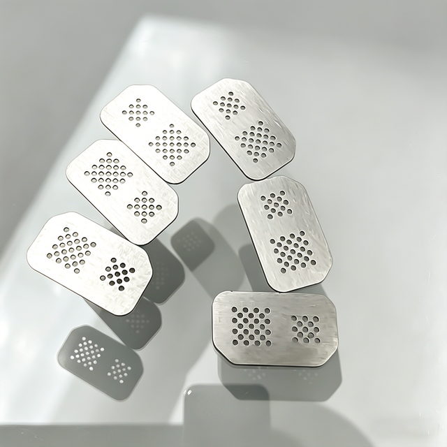 Custom Etched Precision Micro Hole Dustproof Filter Mesh for Earphone and Mobile Phone Earpiece Fine Metal
