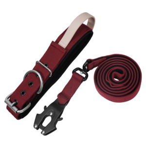 Single Pin Buckle <b>Dog</b> <b>Collar</b> And Leash Set Nylon Soft Padded Liner Metal D Ring Frog Buckle Outdoor <b>Training</b> Custom - Product Image 5