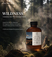 Huile essentielle aromatique boisée pour diffuseur, parfum longue durée, OEM, marque privée