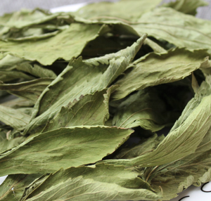 مُحلي طبيعي عضوي من تيان يي جو، أوراق ستيفيا مجففة كاملة، ريباوديانا ستيفيوسين، شاي أوراق الستيفيا - Product Image 6