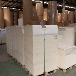 Papier enduit de PE en feuilles, matières premières pour gobelets en papier - Product Image 2