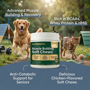 Suplemento de Aminoácidos para Aumentar Masa Muscular en Mascotas, Golosinas Blandas para Perros y Gatos, Marca Privada Personalizada, Venta al Por Mayor OEM - Product Image 1