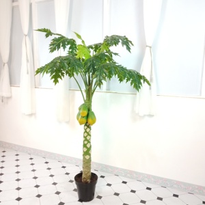 Plastique d'intérieur artificiel <span class=keywords><strong>de</strong></span> haute qualité plantes bonsaï artificielles <span class=keywords><strong>arbre</strong></span> <span class=keywords><strong>de</strong></span> <span class=keywords><strong>papaye</strong></span> 160cm - Product Image 2