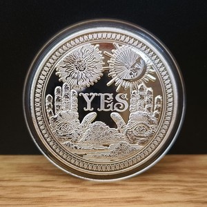 Có/Không Có Quyết định Vàng Đồng Xu Thách Thức Đồng Xu Lòng Thương Xót Đồng Xu, Bói Toán Lật Đồng Xu May Mắn Đồng Xu Kim Loại, Đảng Trò Chơi Nguồn Cung Cấp - Product Image 6