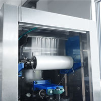 Machine de production et d'emballage automatique pour sachets d'eau pure, idéale pour l'Afrique, à prix promotionnel