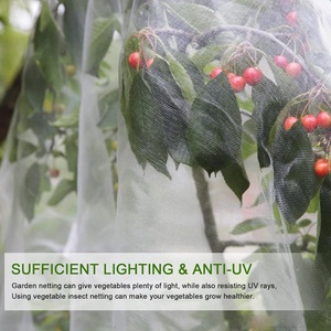UV bảo vệ 100% Virgin HDPE nhà máy trực tiếp nông nghiệp UV điều trị 5 năm trắng chống côn trùng <span class=keywords><strong>Net</strong></span> trong cuộn cho nhà kính - Product Image 3