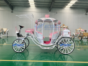 Carruaje de Cenicienta en Venta, Transporte Especial, Carruaje de Fantasía de Princesa Calabaza, Carruaje Eléctrico en Venta - Product Image 2