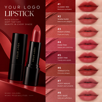 Rouge à lèvres à haute pigmentation, texture lisse, longue tenue, anti-transfert, maquillage, marque privée, OEM, ODM, cosmétique