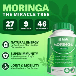 Capsules de Moringa en marque blanche OEM/ODM – Poudre de Moringa pure, superaliment pour l'énergie des adultes et le soutien de la santé intestinale - Product Image 2