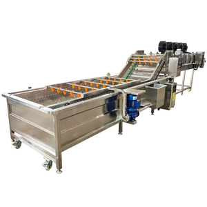 Commercial Fruit Vegetable Washing Machine Bubble Cleaner Fruit Mango Avocado Vegetable Cleaning Machine