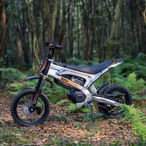 Motos électriques tout-terrain homologuées pour la route en UE, 2000 W de puissance de pointe, motos de course, motos électriques tout-terrain, motos électriques cross pour adultes - Product Image 1