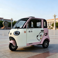 Petite voiture électrique à cabine fermée, 25-30 km/h, batterie au plomb-acide, tricycle électrique avec siège arrière pour le transport de passagers