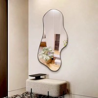 Miroir mural asymétrique irrégulier à cadre métallique moderne nordique décoratif
