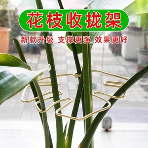 Plant Support <b>Rod</b> For Monstera Deliciosa <b>Plastic</b> Coated Garden Use Simple Style Plant Protection Device - Product Image 2