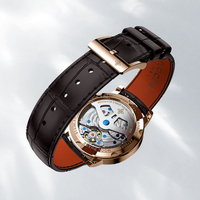 AGELOCER Montre Astronome Originale Phase de Lune Montre Homme Montre Mécanique Automatique pour Homme Lunette Diamantée Étanche Avec Boîte