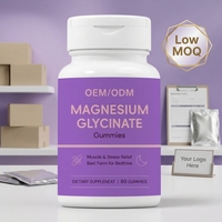 Gummies de Magnésium Glycinate Herbal Premium pour Adultes, 60 unités, Riches en Protéines, Soutien Immunitaire, Pour le Sommeil, OEM/ODM Marque Privée, Durée de Conservation 24 Mois