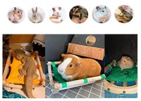 Hamac en bois et coton pour hamster, écureuil, dragon, chat, cochon d'Inde, cochon d'Inde néerlandais, chaud pour l'hiver, à pois