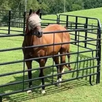 Paneles Galvanizados Reforzados para Caballos/Ganado con Modelado 3D para Corrales y Cercas de Ganado en Australia