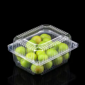 Wegwerp En Hoge Kwaliteit Clear Clamshell Fruit Verpakking Container Met Een Deksel Voor Verse Druif Tomaat Aardbei