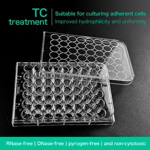 Plaque 24 puits Bioréacteur de culture cellulaire de haute qualité Plaque de puits Consommables de laboratoire haut de gamme Flacon traité pour culture cellulaire stérile - Product Image 3