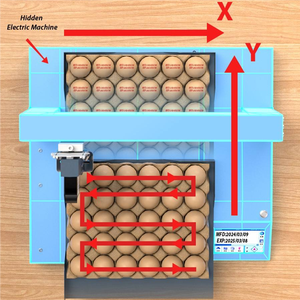 Prezzo di fabbrica completamente automatico dedicato uovo macchina di codifica on-line uovo commestibile stampante a getto d'inchiostro per piccolo uovo - Product Image 4