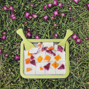 <span class=keywords><strong>Assiette</strong></span> de nourriture sucrée froide de fabricant de yaourt et de crème glacée multifonctionnelle portative avec 2 outils roulés de plaque de yaourt de grattoirs - Product Image 4