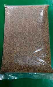 תולעי קמח עשירות בחלבון למספוא לאוגרים, תרנגולות וציפורים, תולעי קמח מיובשות בהירות למכירה - Product Image 3