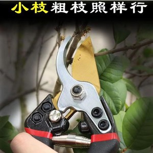 Independent Brands Bypass Pruner Stainless Steel Blade 10-20 Mm For Fruit Trees And Bonsai Pruning Garden Use - Product Image 2