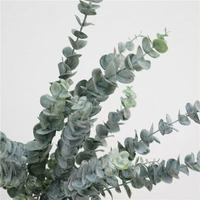 QSBDF Fleurs artificielles pas chères, branches d'eucalyptus artificielles, longues tiges, verdure artificielle, toucher réaliste, branche d'eucalyptus pour mariage