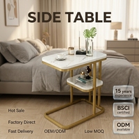 Table basse de salon en bois de style moderne avec rangement à double niveau, mobilier écologique pour la maison