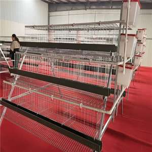 Fabrika Fiyatı Korozyona Dayanıklı Tavuk Kümesi Katmanlı Kafesler Yumurta Tavuğu Kümes Hayvanları Çiftliği Yumurta Tavuğu Kafesi Dünya Çapında İhracat İçin - Product Image 1