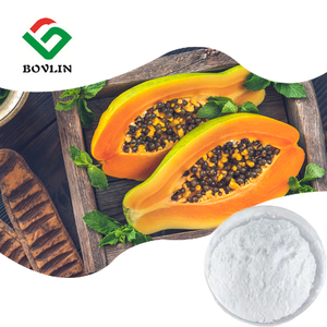 Ekstrak Pepaya Bubuk 100k u/g Papain Powder - Product Image 1
