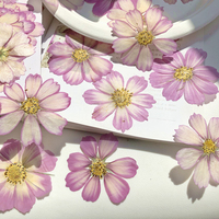 Fiori Pressati Cosmos, Fiori Essiccati, Fiori Pressati per Nail Art, Esemplari Botanici, Creazioni in Resina, Regali per le Feste, Confezionati Sottovuoto