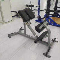 Banc d'extension dorsale ROSEN Fitness pour la musculation du bas du dos et du tronc en salle de sport commerciale