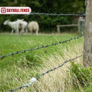 Rollo de alambre de púas galvanizado para granja, rollo de valla de alambre de púas de acero inoxidable de malla de alambre de púas galvanizado de 2,2mm-2,7mm - Product Image 2