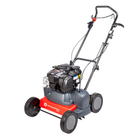 EUROSYSTEMS Scarifier Machine Sc42 Briggs & Stratton Engine OHV Floating Knives Multifunctional Handcart Tondeuses à gazon