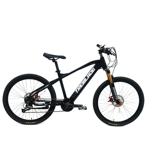Bicicleta Eléctrica E-Bike 26 - Product Image 4