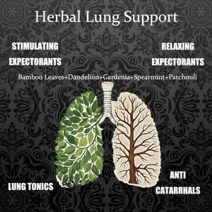 Chá de Ervas Orgânicas para Saúde Respiratória, Ervas Naturais, Reforço da Imunidade, Alívio da Tosse e Limpeza da Garganta - Product Image 4