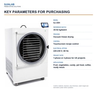 SJ-35H 35-52kg Batch Commerciële Vacuüm Vriesdroogmachine voor Fruit, Koffie, Huisdierensnoepjes, Vlees en Speciale Voedingsmiddelen