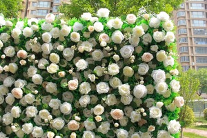 Mur floral artificiel vert et blanc frais avec roses rondes et feuillage luxuriant pour la décoration murale de style jardin - Product Image 3