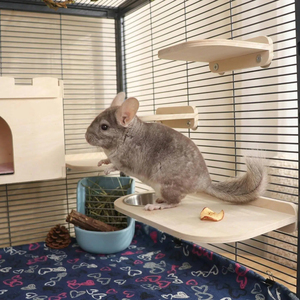 Plateforme en bois naturel pour hamster et cachette multi-chambres, tunnel <span class=keywords><strong>labyrinthe</strong></span> à couvercle rabattable, accessoires de cage, décor de habitat pour petits animaux - Product Image 5