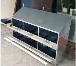 New Boost thương hiệu 24 lỗ gà Coop trứng đẻ hộp làm tổ nhúng nóng thép mạ kẽm 1 năm bảo hành 96-100 Gà Công suất - Product Image 3