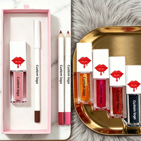 Ensemble de maquillage pour les lèvres personnalisé avec logo OEM, crayon à lèvres et rouge à lèvres, hydratant, longue tenue, brillant, crémeux, brillant, ensemble de rouge à lèvres brillant, marque privée