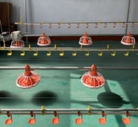 Nouveau Système d'Alimentation au Sol Entièrement Automatique, Abreuvoir à Mamelon en Plastique Écologique, Garantie 1 An pour l'Élevage de Poulets