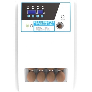 Jiatai giá rẻ tự động Máy Ấp Trứng Nở trứng 24 trứng lồng ấp điện kép Máy Ấp Trứng - Product Image 6
